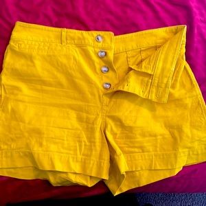 Loft shorts